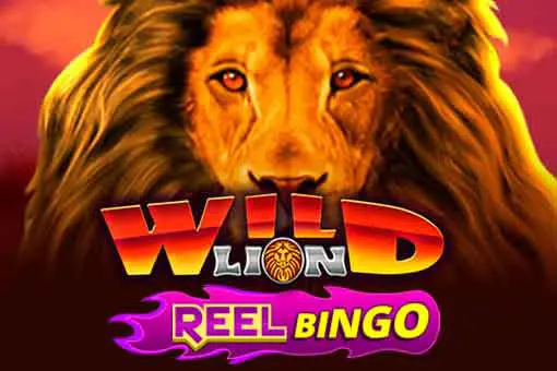 Wild Lion + Reel Bingo 
